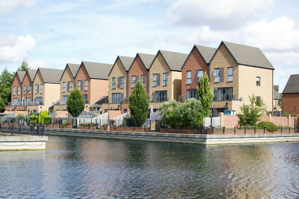 Dicas infalíveis para cuidar das suas plantas de interior durante o inverno