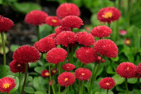 Estratégias para fomentar a colaboração efetiva em ambientes remotos